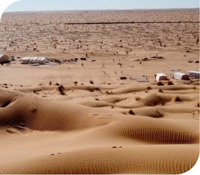 Tiniri Camp sign in dunes